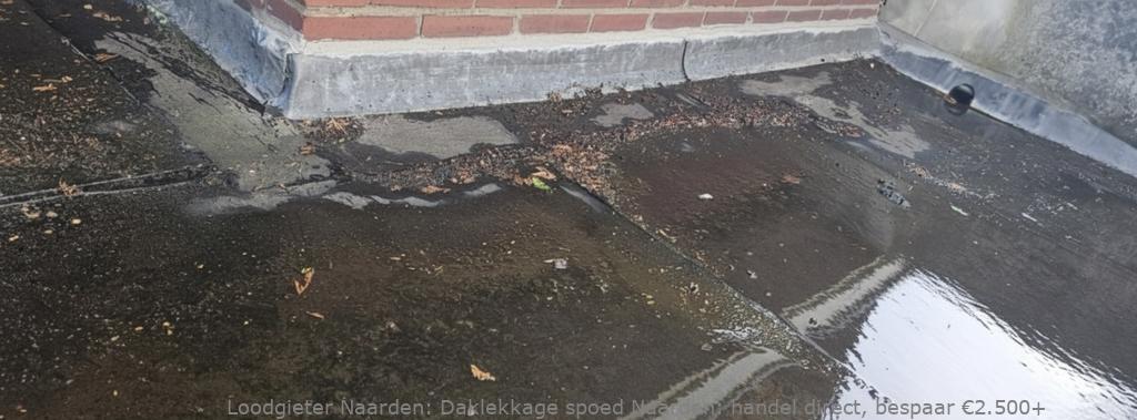 Daklekkage Spoed Naarden
