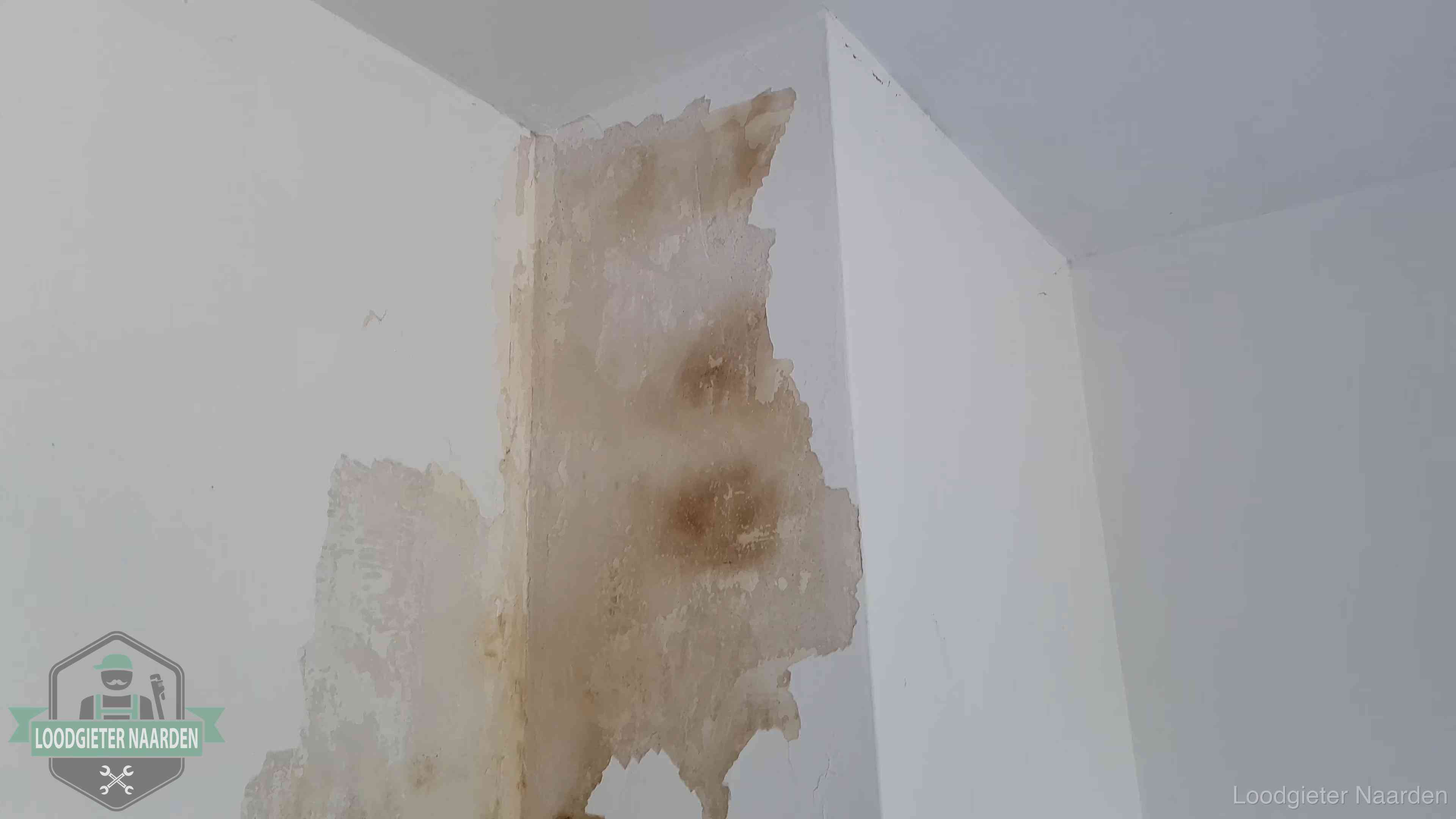 Daklekkage herkennen in Naarden Bruine vochtkringen en afbladderend stucwerk op een binnenmuur in Naarden, een eerste teken van daklekkage