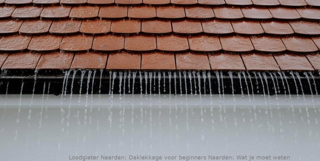 Daklekkage Voor Beginners Naarden