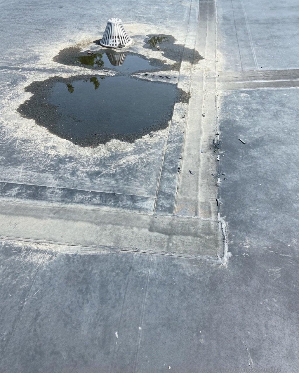 Daklekkage Winter Naarden