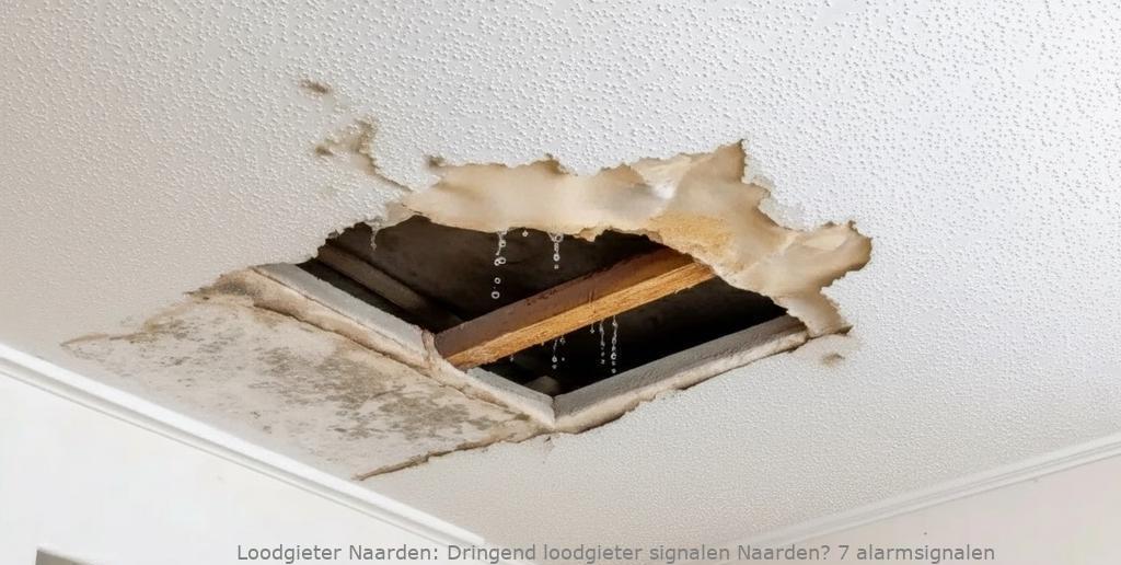 Dringend Loodgieter Signalen Naarden