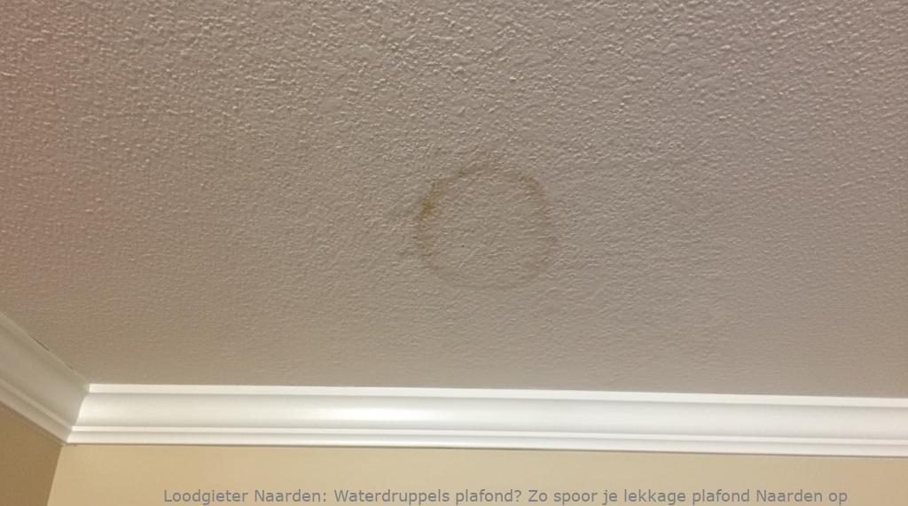 Lekkage Plafond Naarden