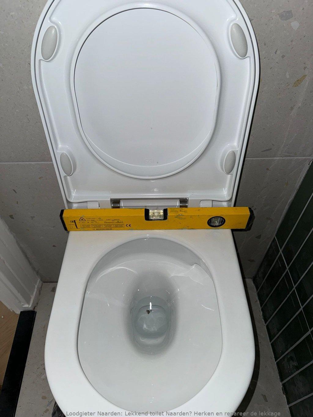 Lekkage Toilet Naarden
