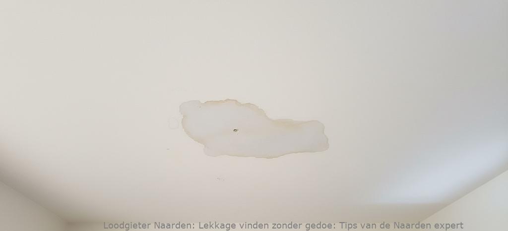 Lekkage Vinden Naarden