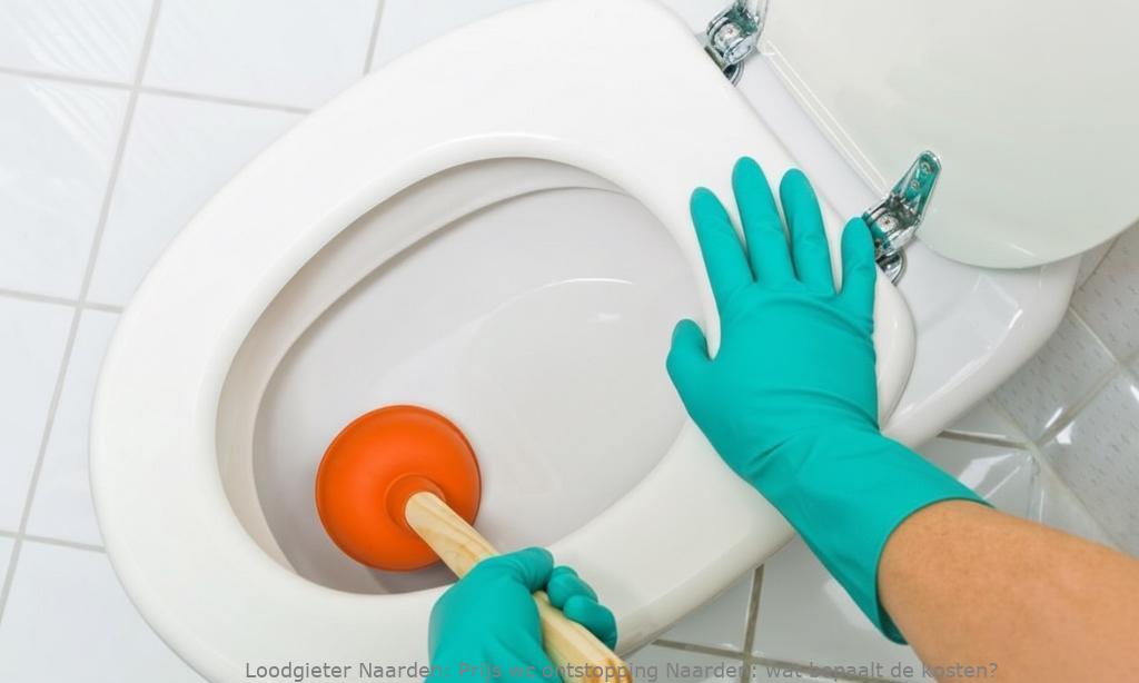 Prijs Wc Ontstopping Naarden