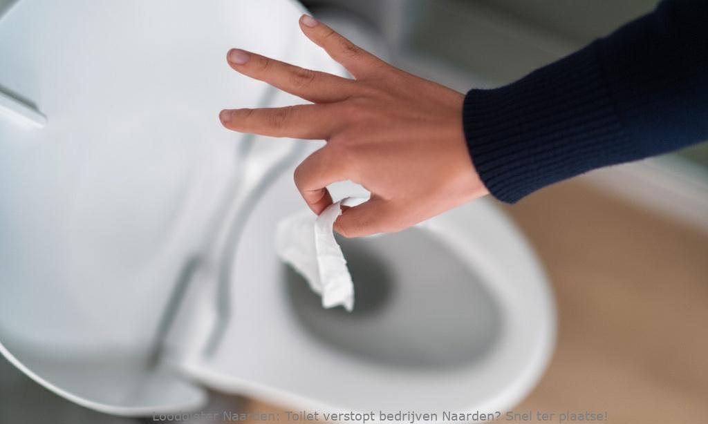 Toilet Verstopt Bedrijven Naarden