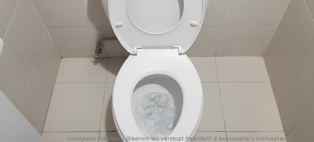 Waarom Wc Verstopt Naarden
