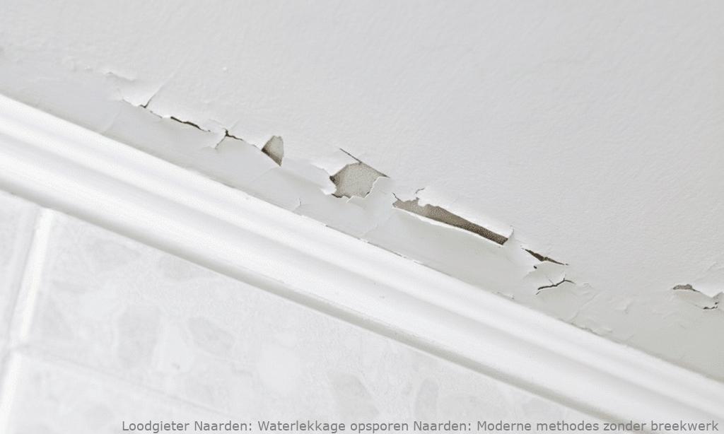Waterlekkage Opsporen Naarden